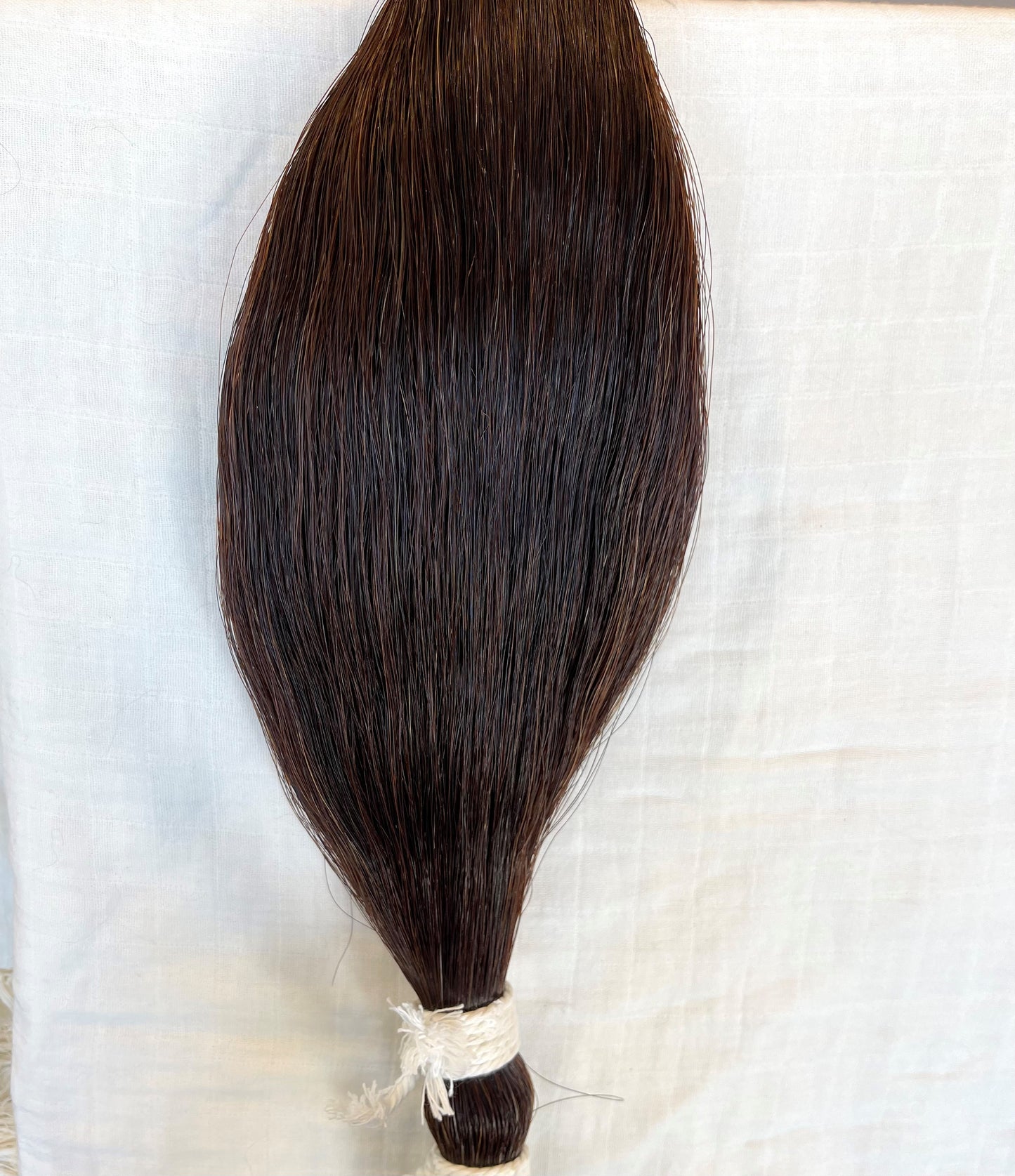 Dark Sorrel Horse Tail Hair