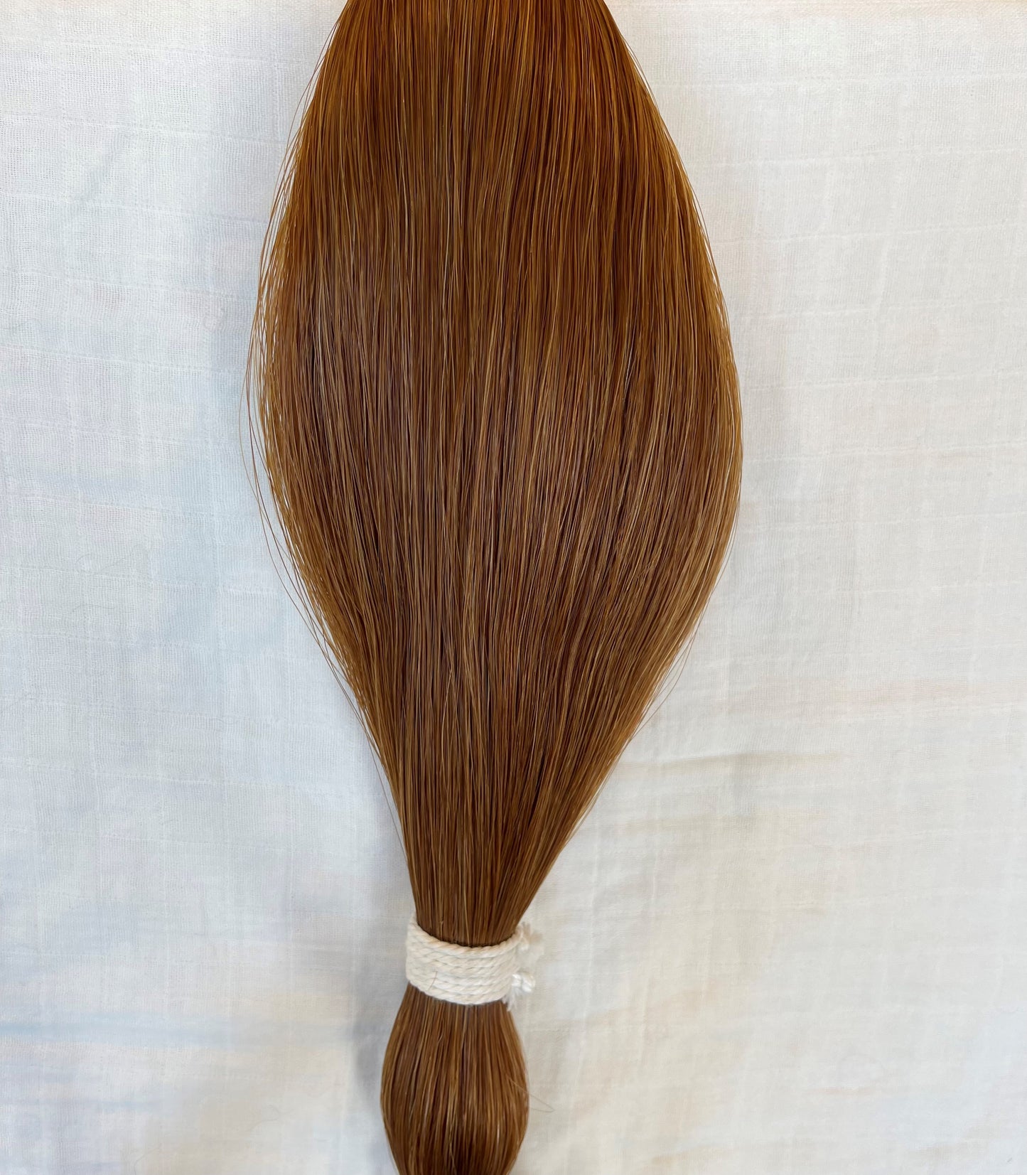 Light Sorrel Horse Tail Hair