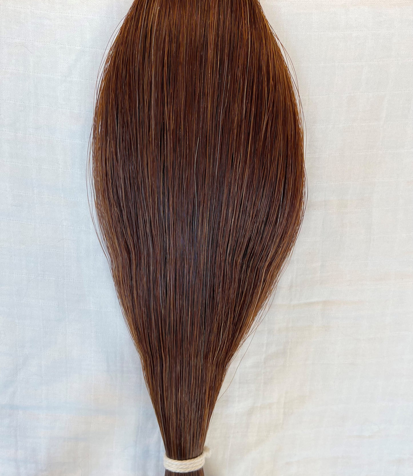 Regular Sorrel Horse Tail Hair